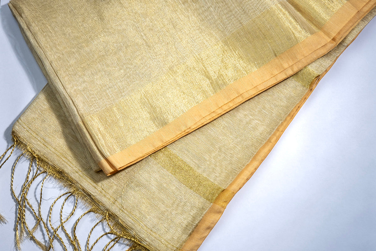 Tara chamak - Linen Tissue Saree