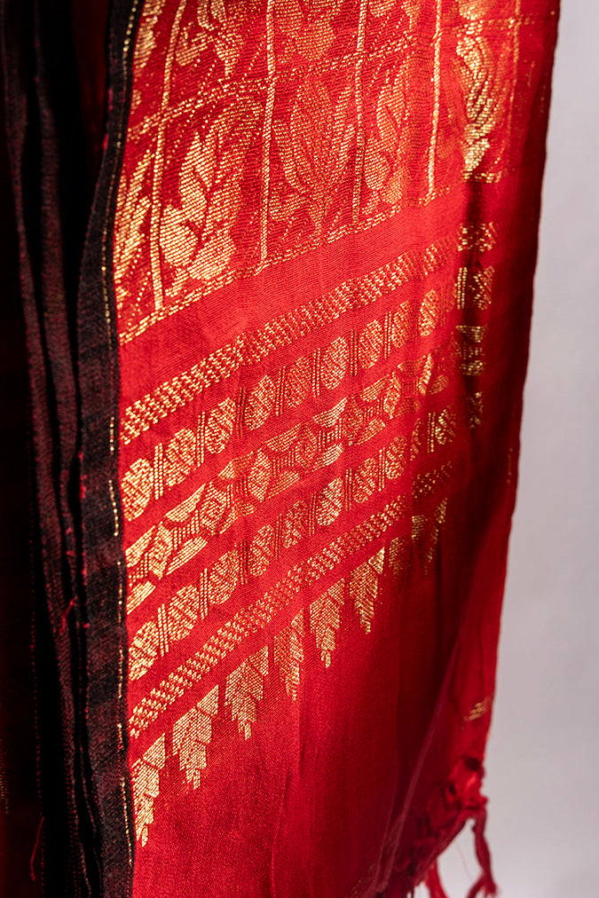 Scarlet Elegance Veil - Cotton Benarasi Saree