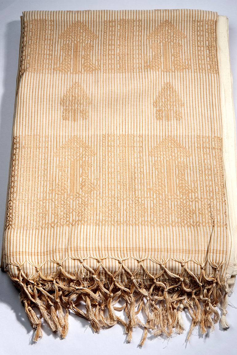 Rajkumari - Khadi Cotton Saree