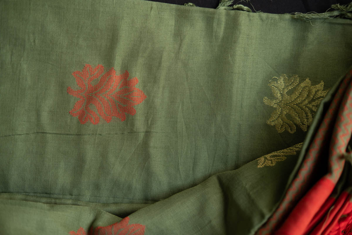 Aranyak- Pata Khadi Saree